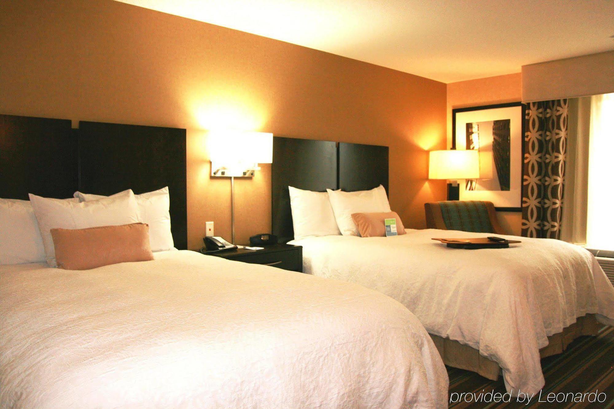 Hampton Inn And Suites Flint/Grand Blanc Kamer foto