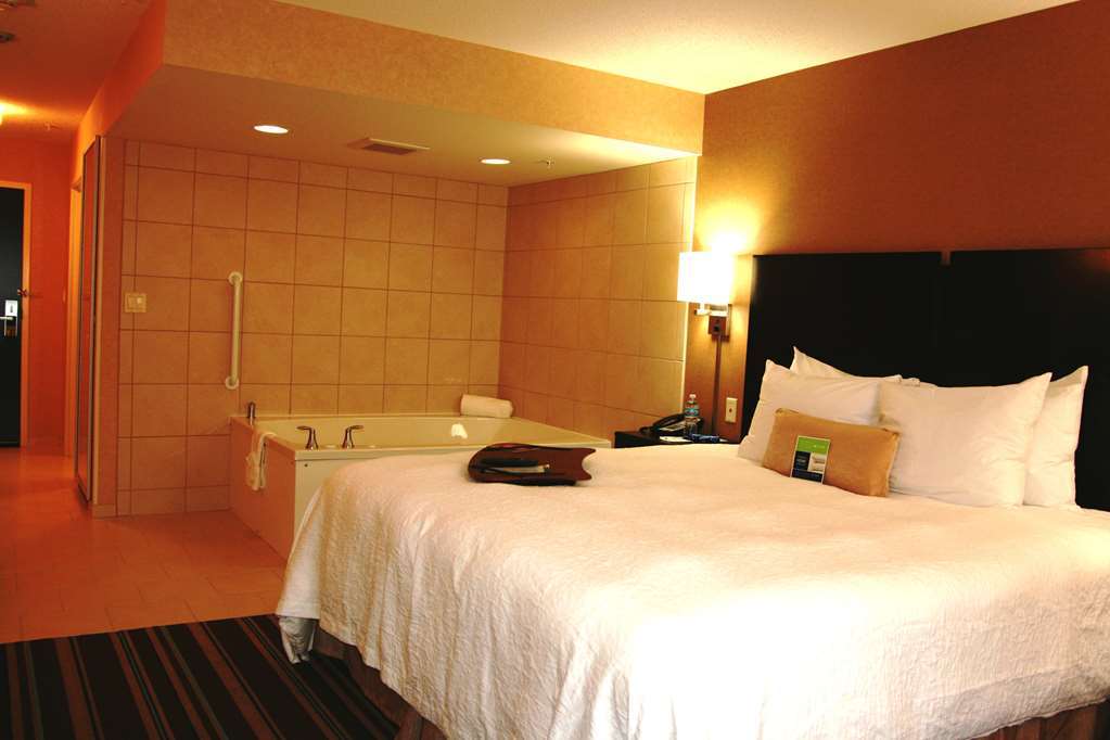 Hampton Inn And Suites Flint/Grand Blanc Kamer foto